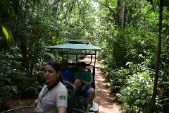 01 The Macuco Safari Starts With A Drive Through The Forest At Brazil Iguazu Falls.jpg